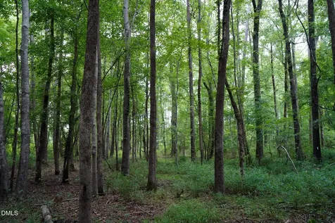 19.2 Acres Bunnlevel Erwin Road Erwin NC 28339