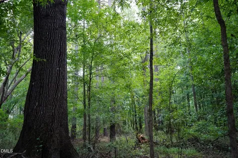 19.2 Acres Bunnlevel Erwin Road Erwin NC 28339