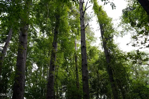 19.2 Acres Bunnlevel Erwin Road Erwin NC 28339