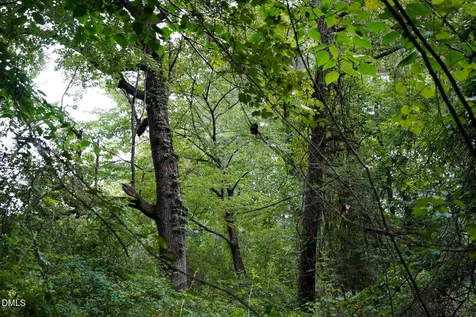 19.2 Acres Bunnlevel Erwin Road Erwin NC 28339
