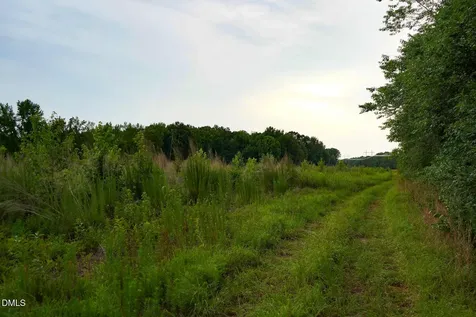 19.2 Acres Bunnlevel Erwin Road Erwin NC 28339