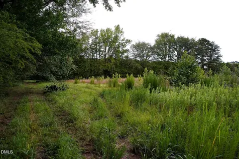 19.2 Acres Bunnlevel Erwin Road Erwin NC 28339