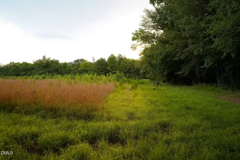 19.2 Acres Bunnlevel Erwin Road Erwin NC 28339