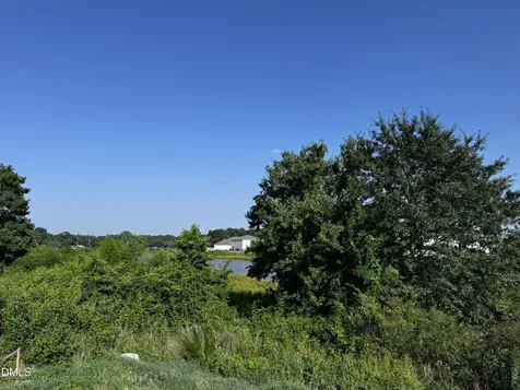 62 Thistle Patch Place Angier NC 27501