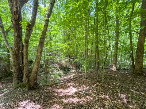 0 Park Springs Road Ruffin NC 27326