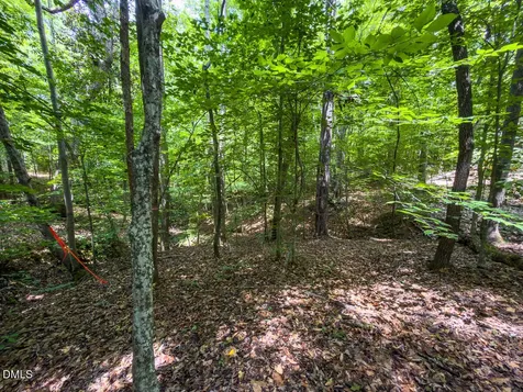 0 Park Springs Road Ruffin NC 27326