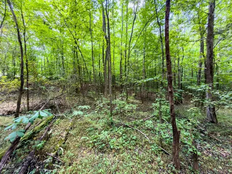 0 Park Springs Road Ruffin NC 27326