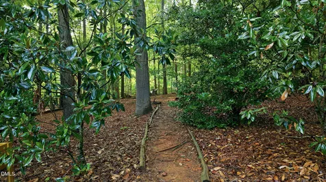1004 Woodlot Ridge Road Chapel Hill NC 27516