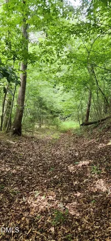 0 Helena Moriah Road Timberlake NC 27583