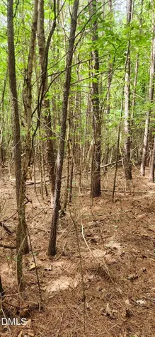 0 Helena Moriah Road Timberlake NC 27583