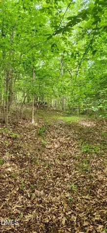 0 Helena Moriah Road Timberlake NC 27583