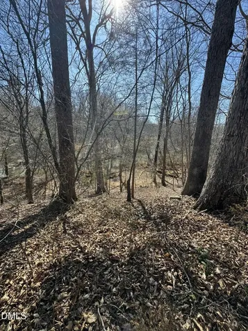 0 Helena Moriah Road Timberlake NC 27583