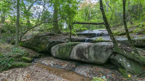 413 Falls Bluff Drive Wake Forest NC 27587