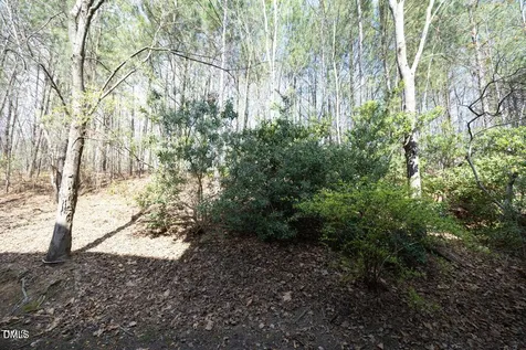 335 Bridgegate Drive Cary NC 27519