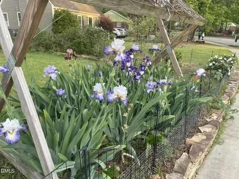 401 Warren Avenue Cary NC 27511