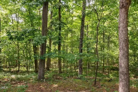 212 Mint Hill Drive Cary NC 27519