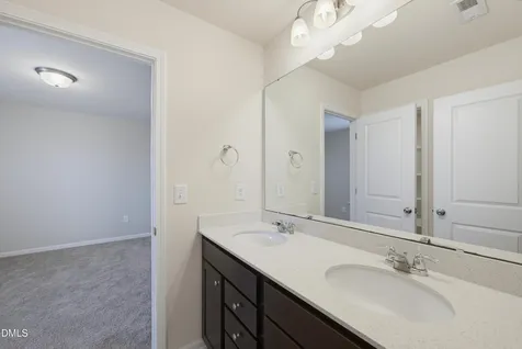 3146 Zebroid Way New Hill NC 27562