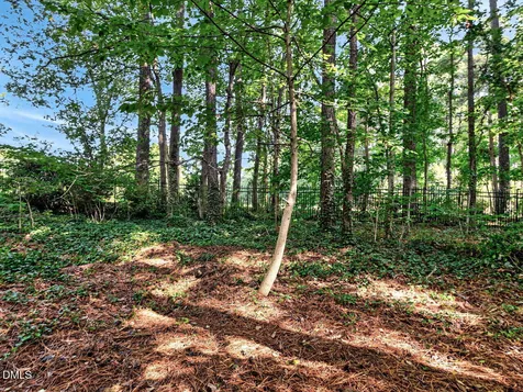 3940 Lake Ferry Drive Raleigh NC 27606