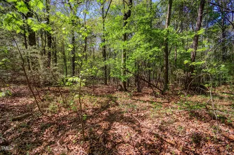 0 Willie Duncan Road Siler City NC 27344