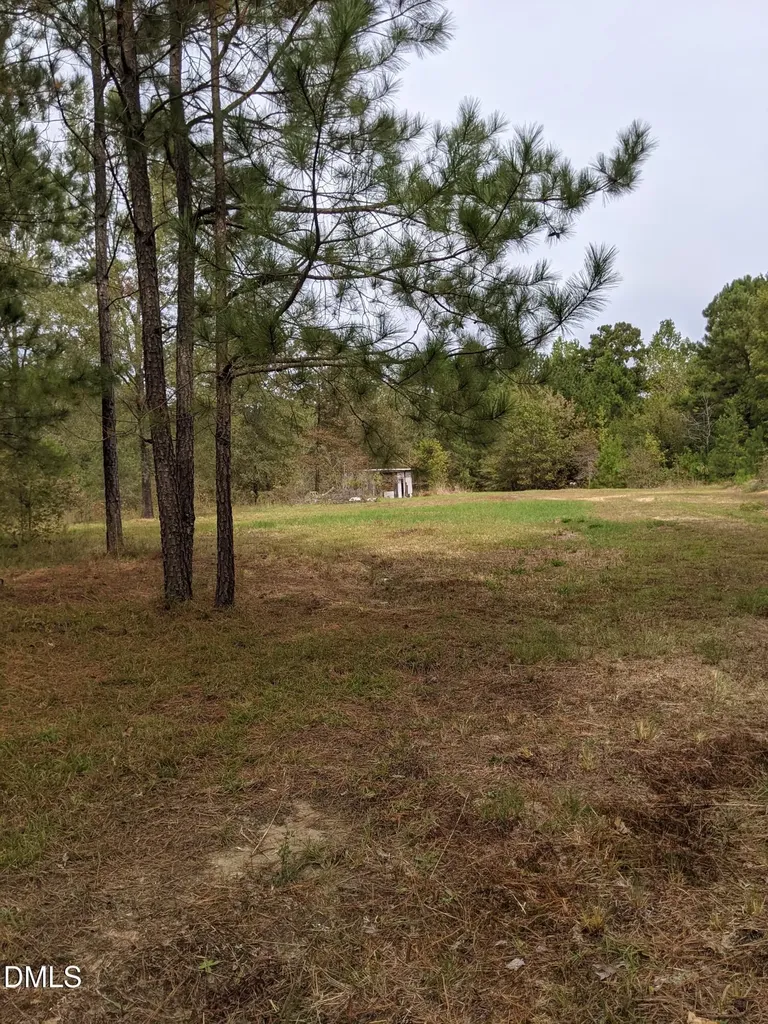 0 E E Governor Brandon Street Spring Lake NC 28390
