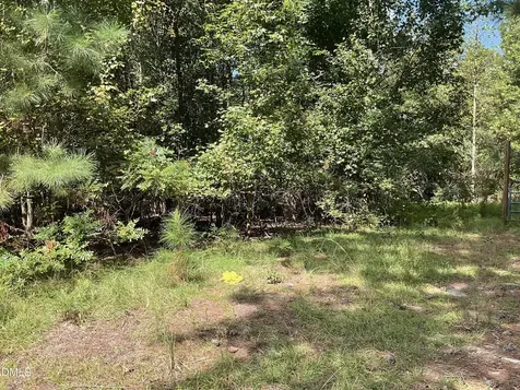 0 E E Governor Brandon Street Spring Lake NC 28390