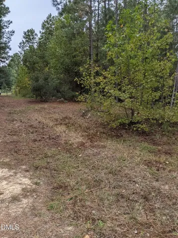 0 E E Governor Brandon Street Spring Lake NC 28390