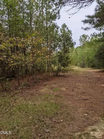 0 E E Governor Brandon Street Spring Lake NC 28390