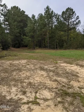0 E E Governor Brandon Street Spring Lake NC 28390