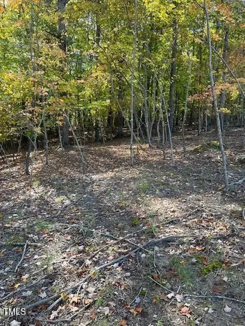 234 Hillcrest Lane Clayton NC 27520
