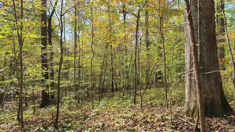 1455 Dimmocks Mill Road Hillsborough NC 27278