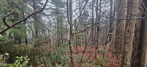 0 Continental Divide Drive East Flat Rock NC 28726