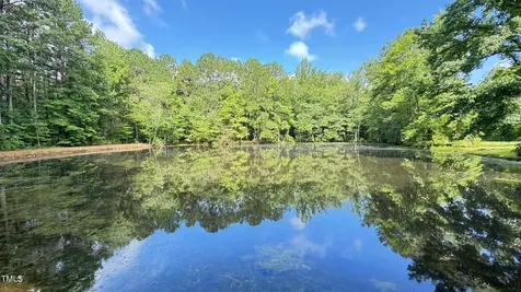 2229 Lizard Lick Road Zebulon NC 27597