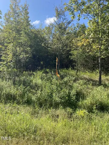 Lots 11-14 Lenore Drive Burlington NC 27217