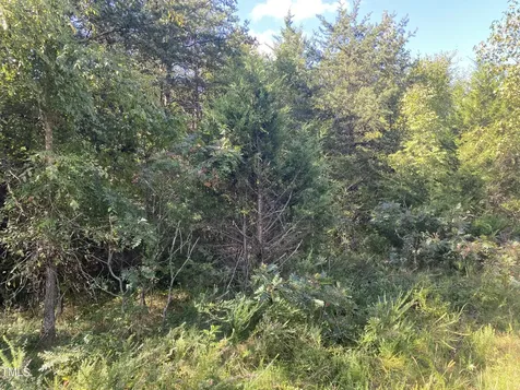 Lots 11-14 Lenore Drive Burlington NC 27217