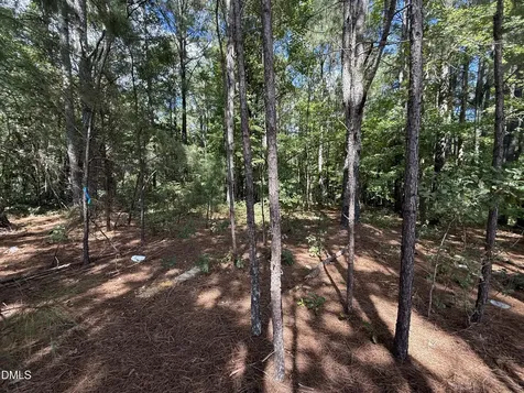 0 Massengill Pond Road Angier NC 27501