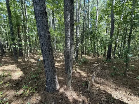 0 Massengill Pond Road Angier NC 27501
