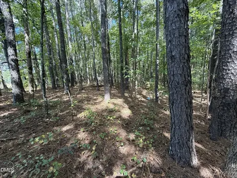 0 Massengill Pond Road Angier NC 27501