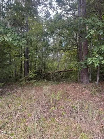 00 New Mayo Drive Roxboro NC 27574