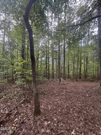 00 New Mayo Drive Roxboro NC 27574