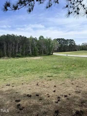 307 Wilson-fuller Road Louisburg NC 27549