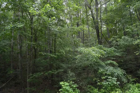 0 Tom Wright Road Franklinton NC 27525