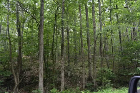 0 Tom Wright Road Franklinton NC 27525