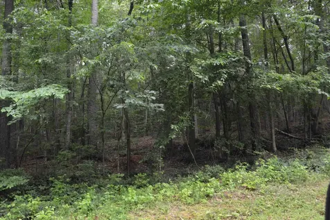 0 Tom Wright Road Franklinton NC 27525