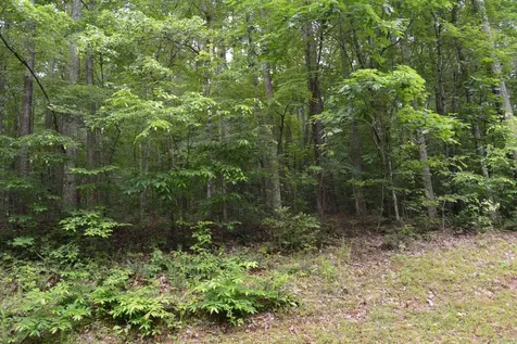 0 Tom Wright Road Franklinton NC 27525