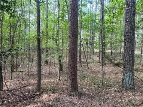 2510 Tody Goodwin Road Apex NC 27502
