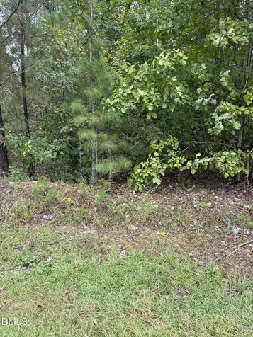 0 Gordon Moore Road Franklinton NC 27525