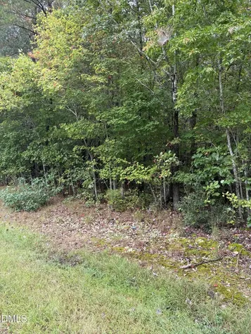 0 Gordon Moore Road Franklinton NC 27525