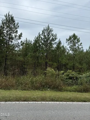 0 Gordon Moore Road Franklinton NC 27525