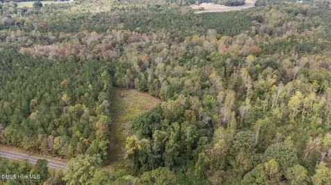 1435 Pineywood Church Road Cameron NC 28326