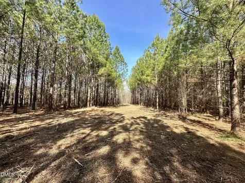 18.2 Acres Range Road Rougemont NC 27572